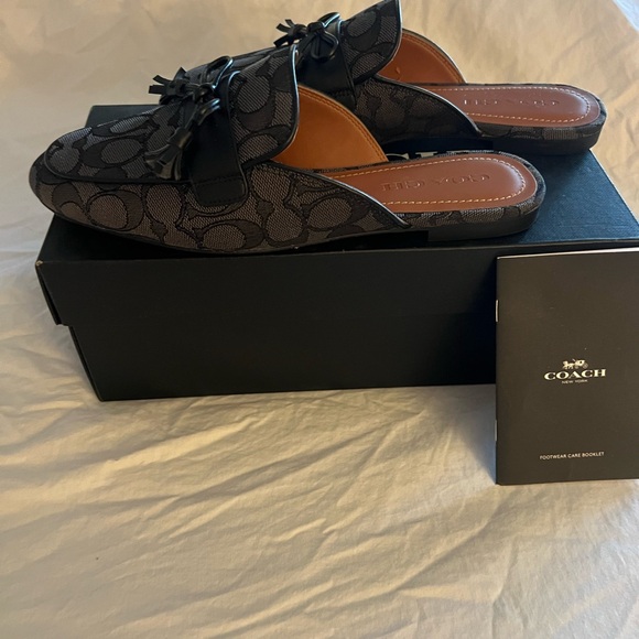 Coach slides - Picture 3 of 10